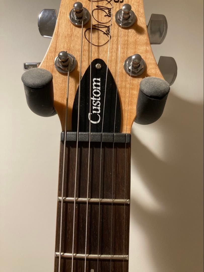 PRS SE CUSTOM 24 Trampas Green ほぼ新品美品