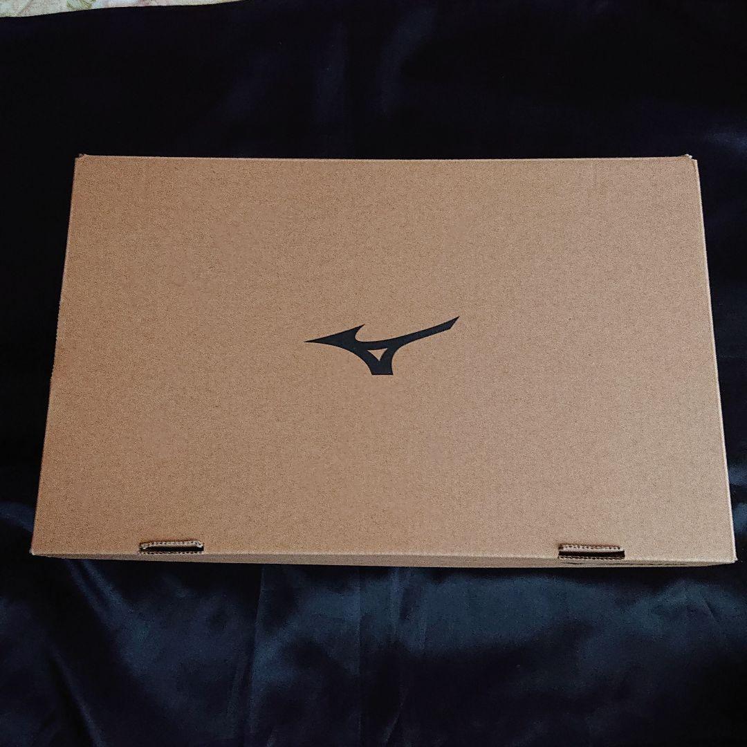 ミズノ バレーボールシューズ 24.5