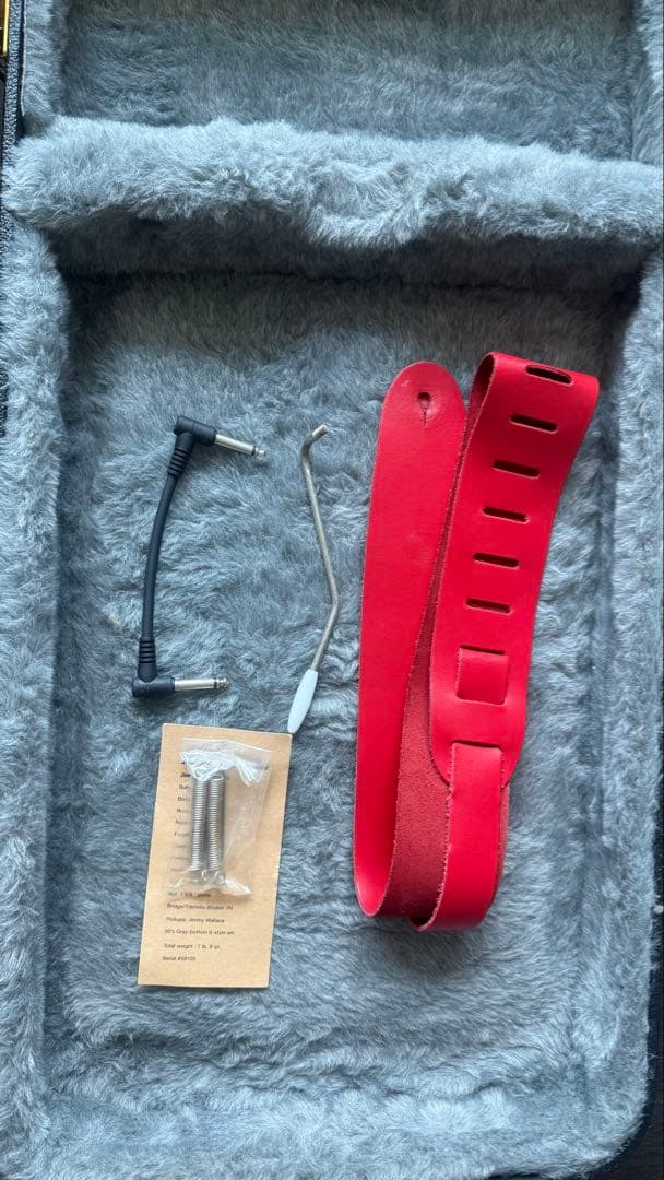 ギター Jimmy Wallace Sierra