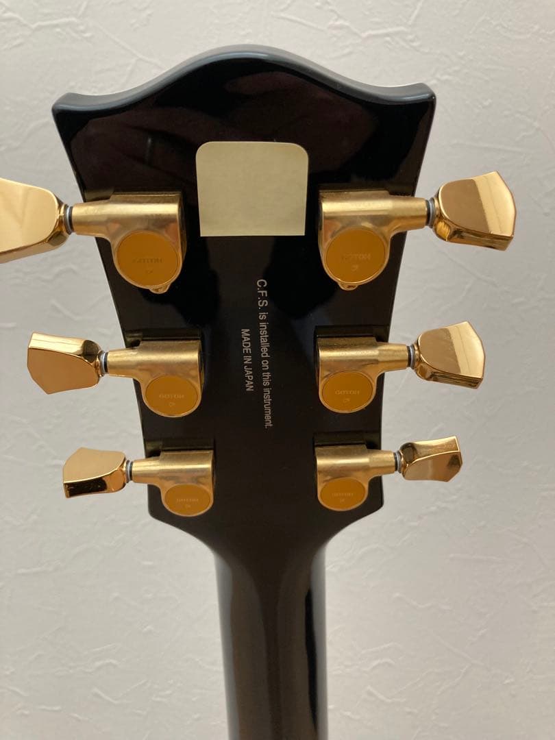 フジゲン レスポール　NLC10RMP BK