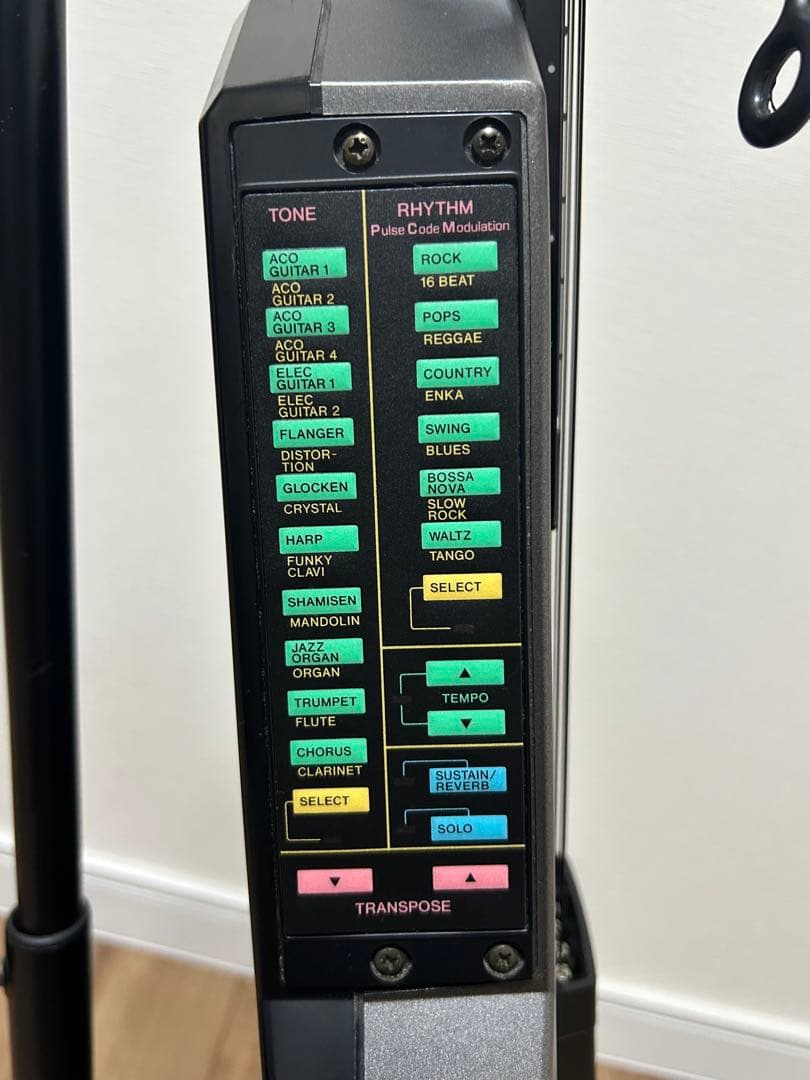 CASIO カシオ DG-20 デジタルギター　アダプター付き