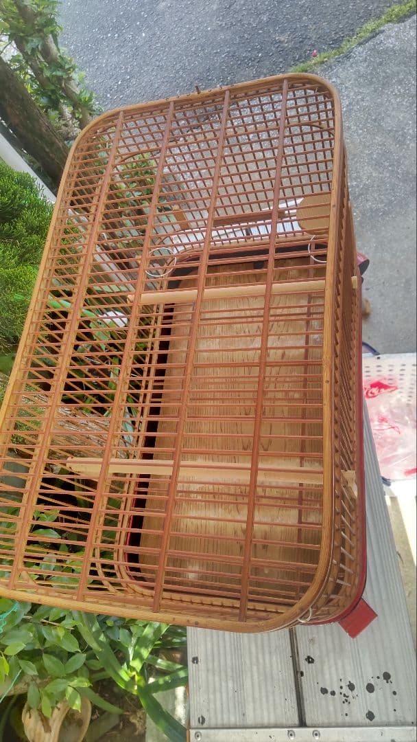 メジロ、ウグイス籠1点物屋根平丸籠