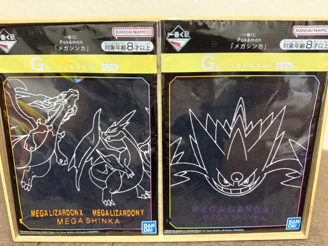 ポケモン 新作ぬいぐるみ含む11体&ハンドタオル2枚　合計13点セット