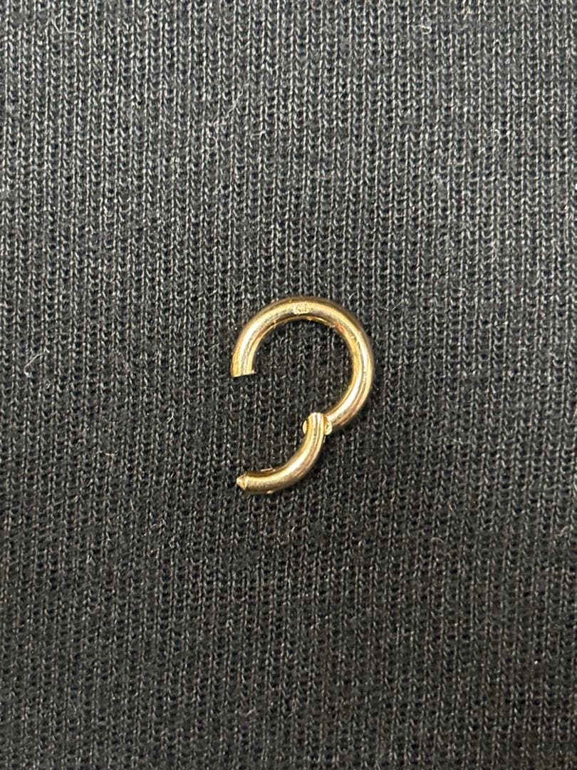 z*読様 PICOLLET 18k セグメントリング 14G 6.5mm フープ