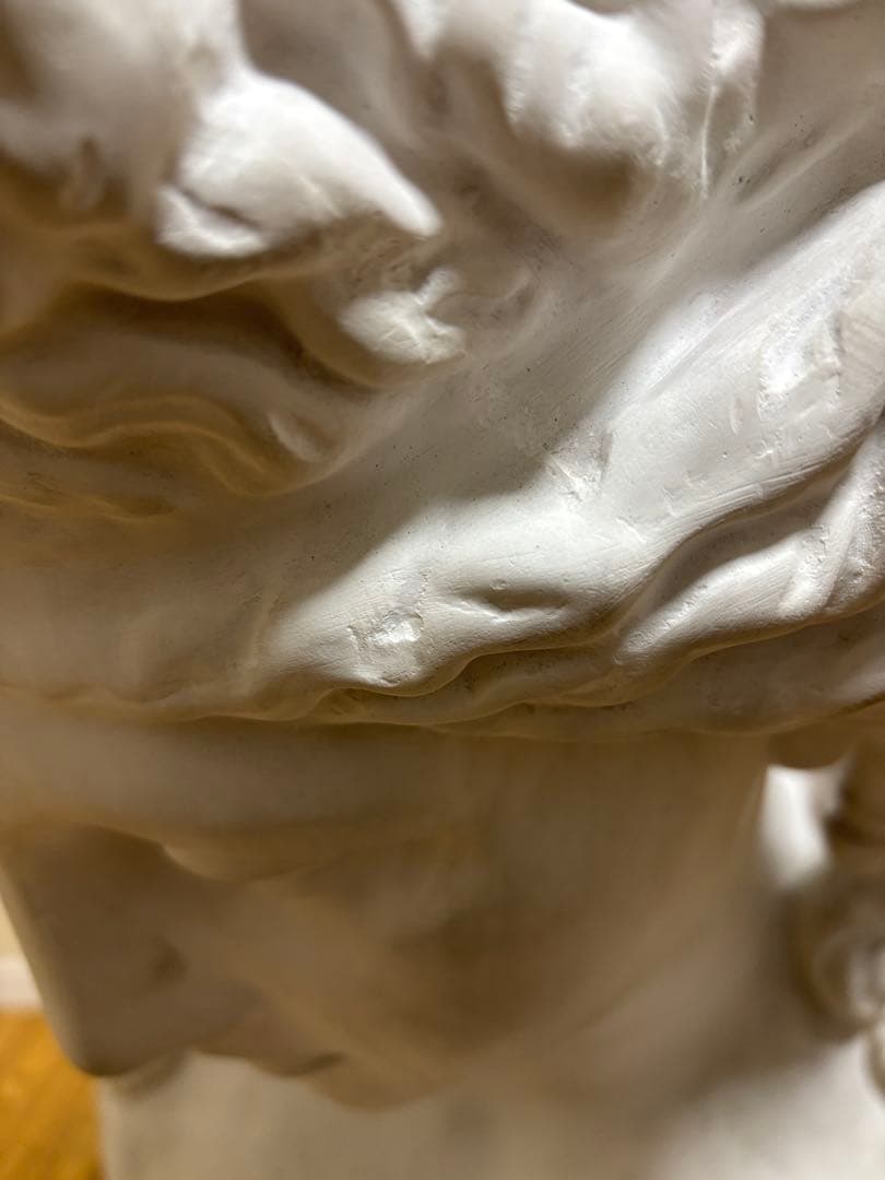 石膏像 アリアス