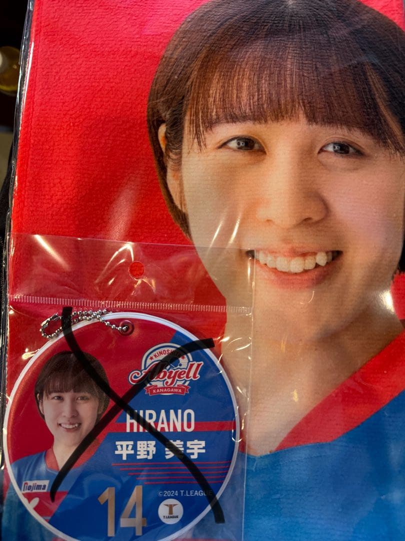 村さん専用　木下アビエルグッズ