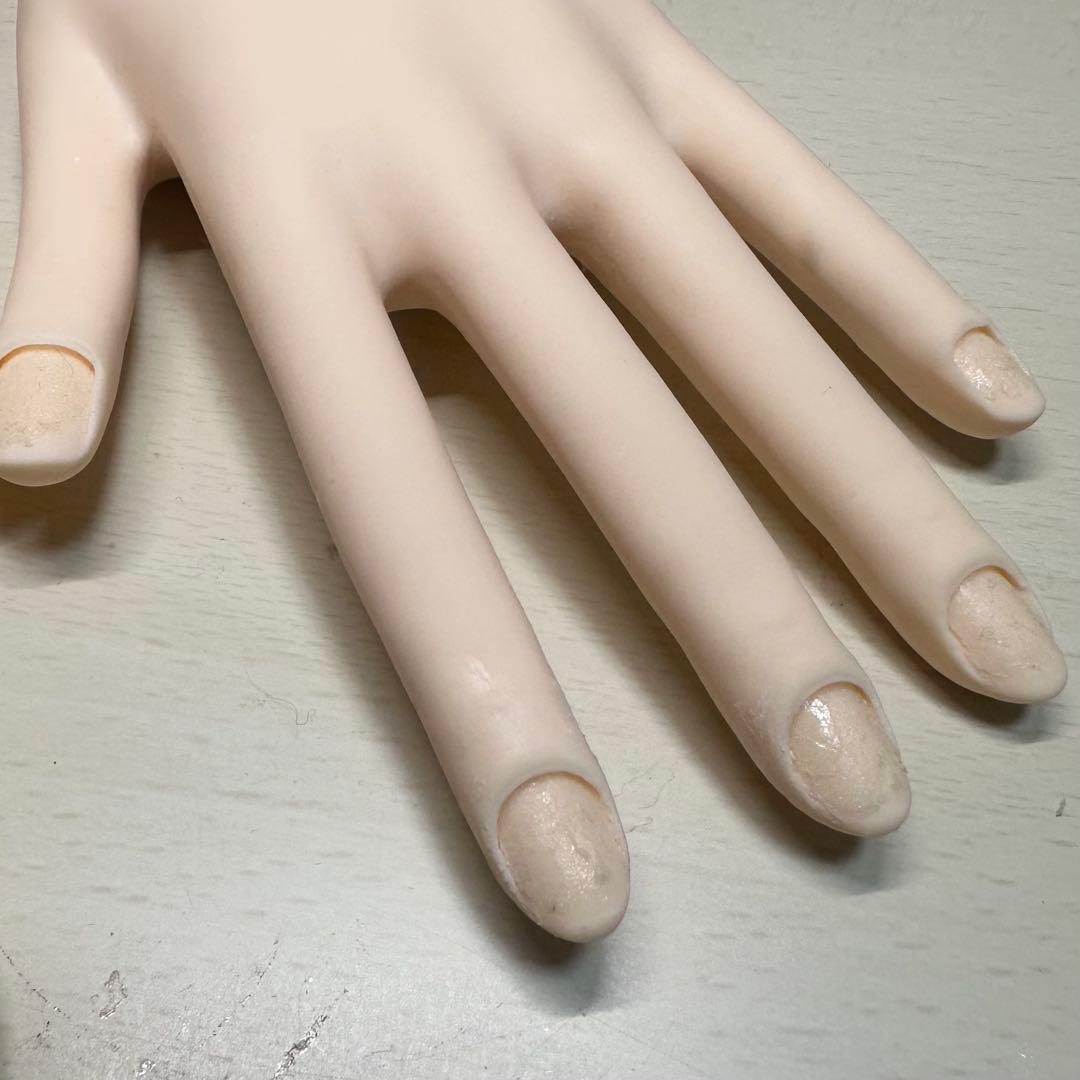 JNEC認定　モデルハンド　検定セット