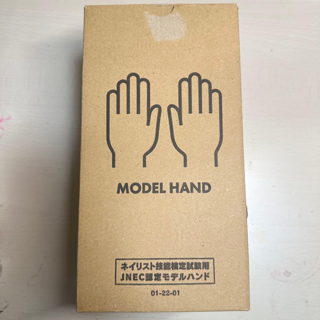 JNEC認定　モデルハンド　検定セット