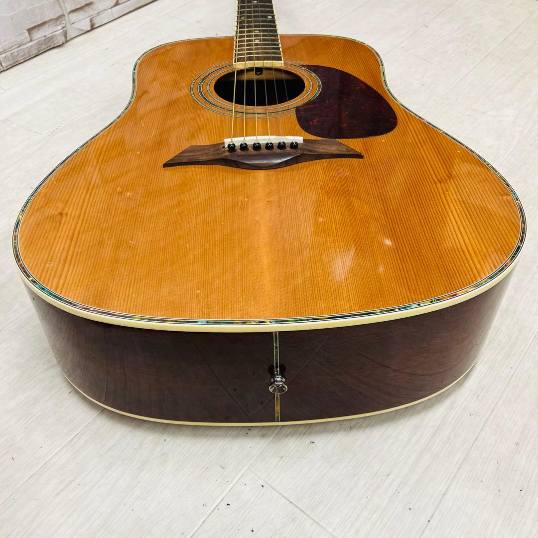 Elioth エリオス B305NA アコースティックギター