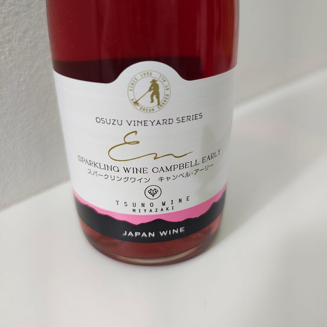 百年の孤独 焼酎 黒木本店 まとめ売りのみ都農ワイン スパークリング