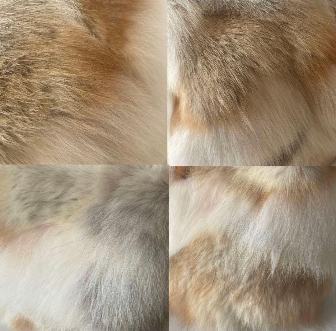 極美品★イサムカタヤマ バックラッシュ ショルダーバッグ バナナ 毛皮 本革