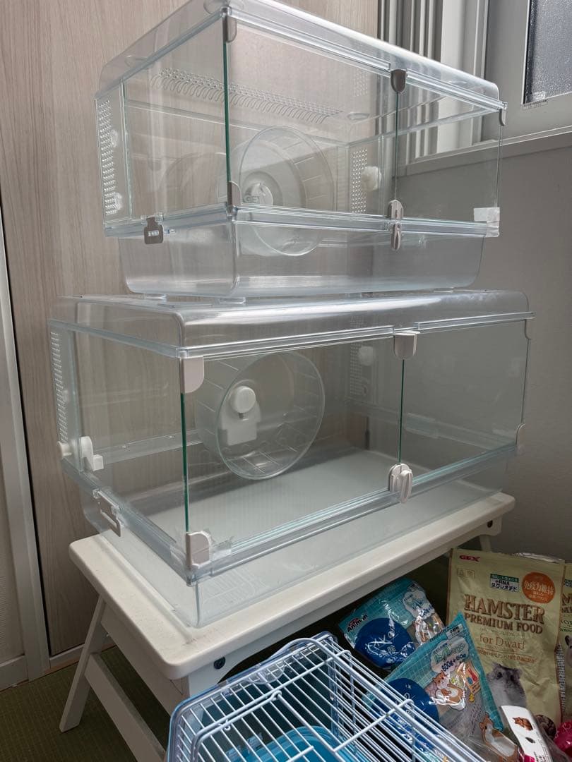 ハムスター２匹すぐ迎えられるセット