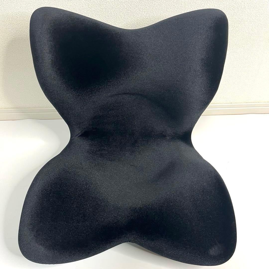 【美品！】 Style PREMIUM DX スタイルプレミアムデラックス