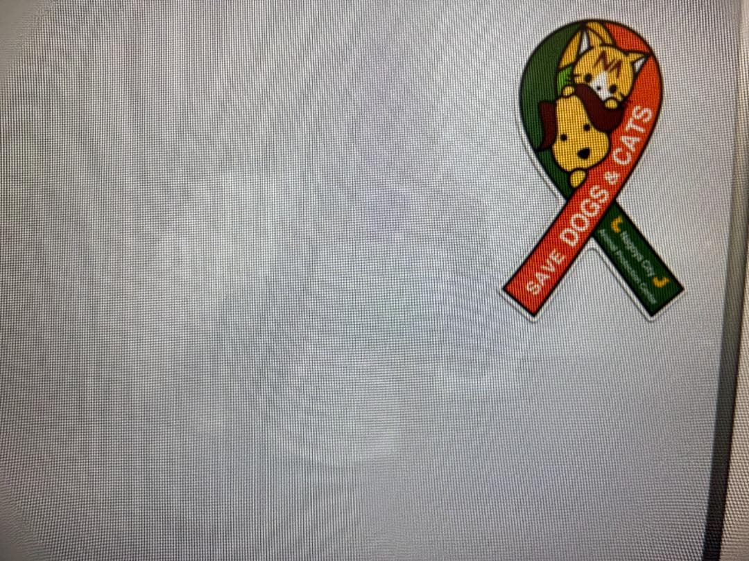 CASIO EXILIM EX-ZR1000 ホワイト　液晶難あり　ジャンク