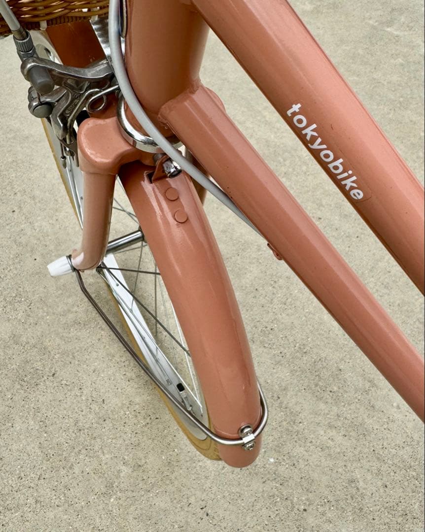 【⁎⁺˳✧༚様　受渡し専用】トーキョーバイクjr 20インチ　限定色
