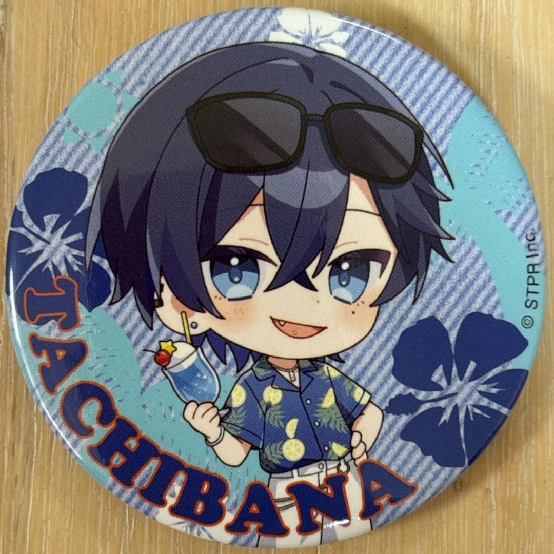 たちばな Summer ver.SD すにすて 缶バッジ 10点