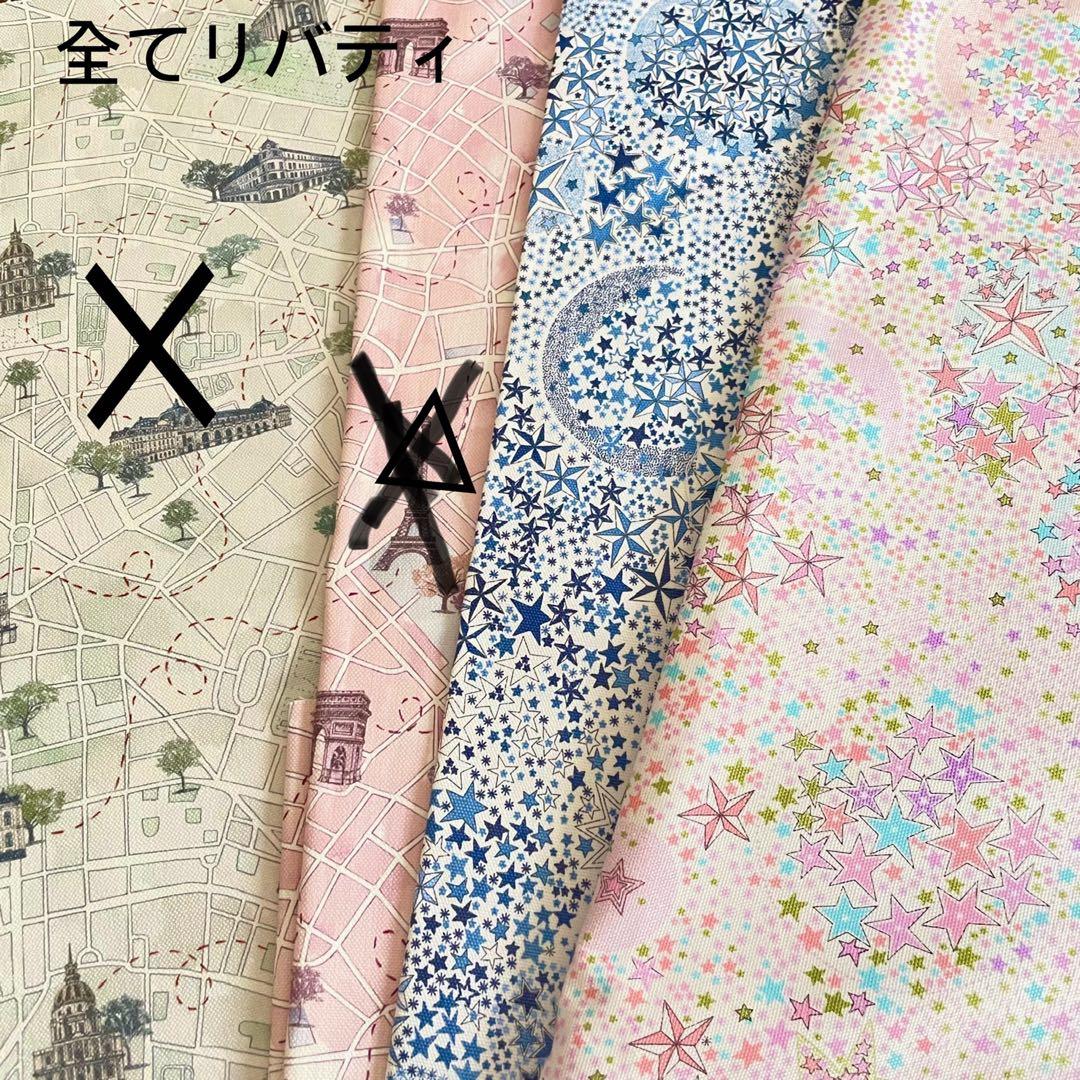 とんページピコタンpmサイズバッグインバッグ