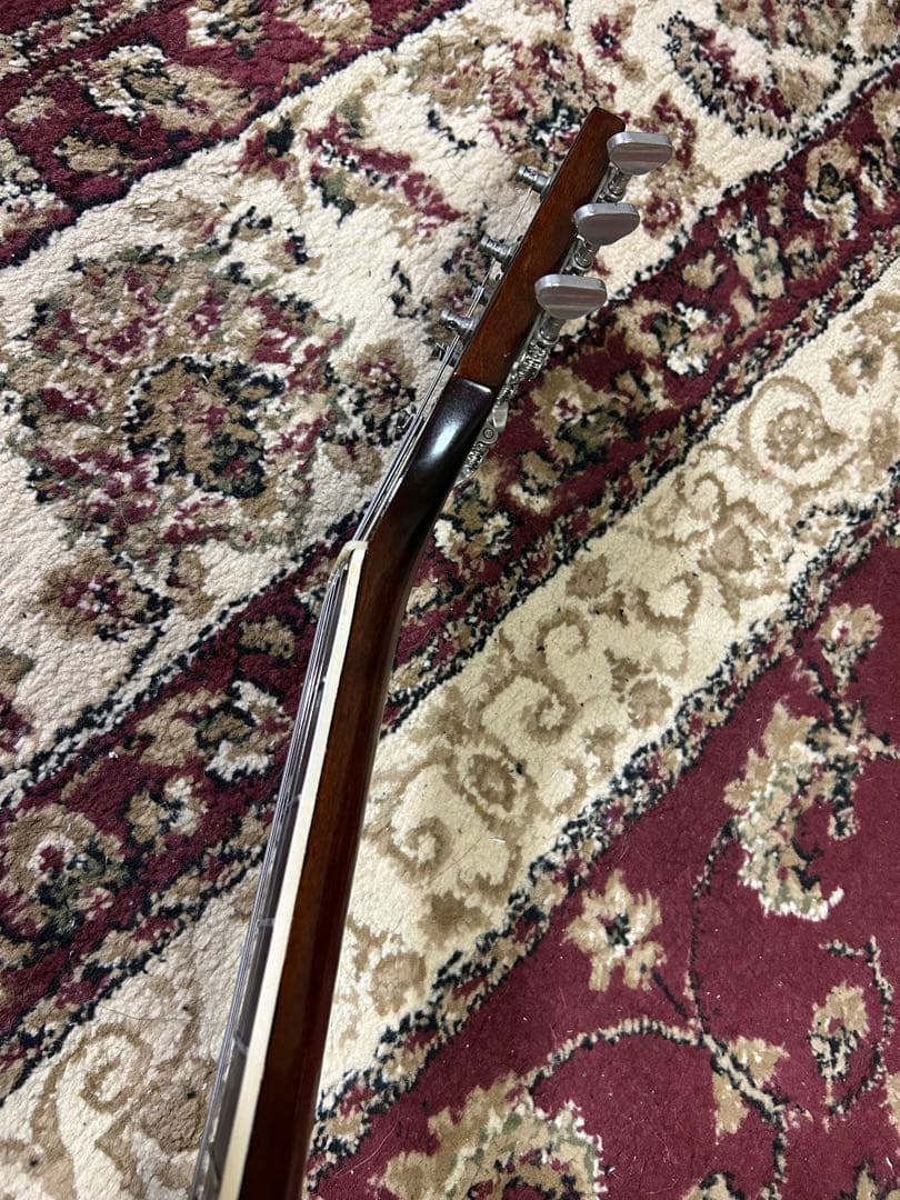 ギター Gretsch 1967 Chet atkins TENNESSEAN