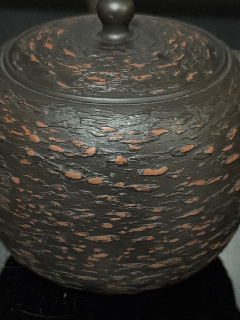 個展出品作 常滑焼 名人 仲井堂 森下宗則 作 焼桜紋様 急須 茶注 桐共箱付