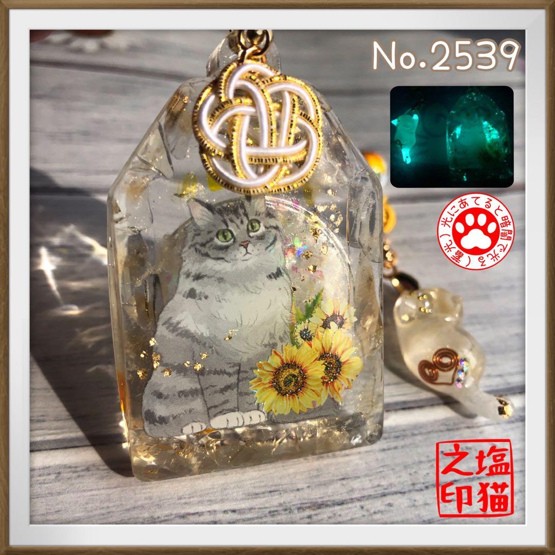 桔梗 サマ♡10点☆6/1