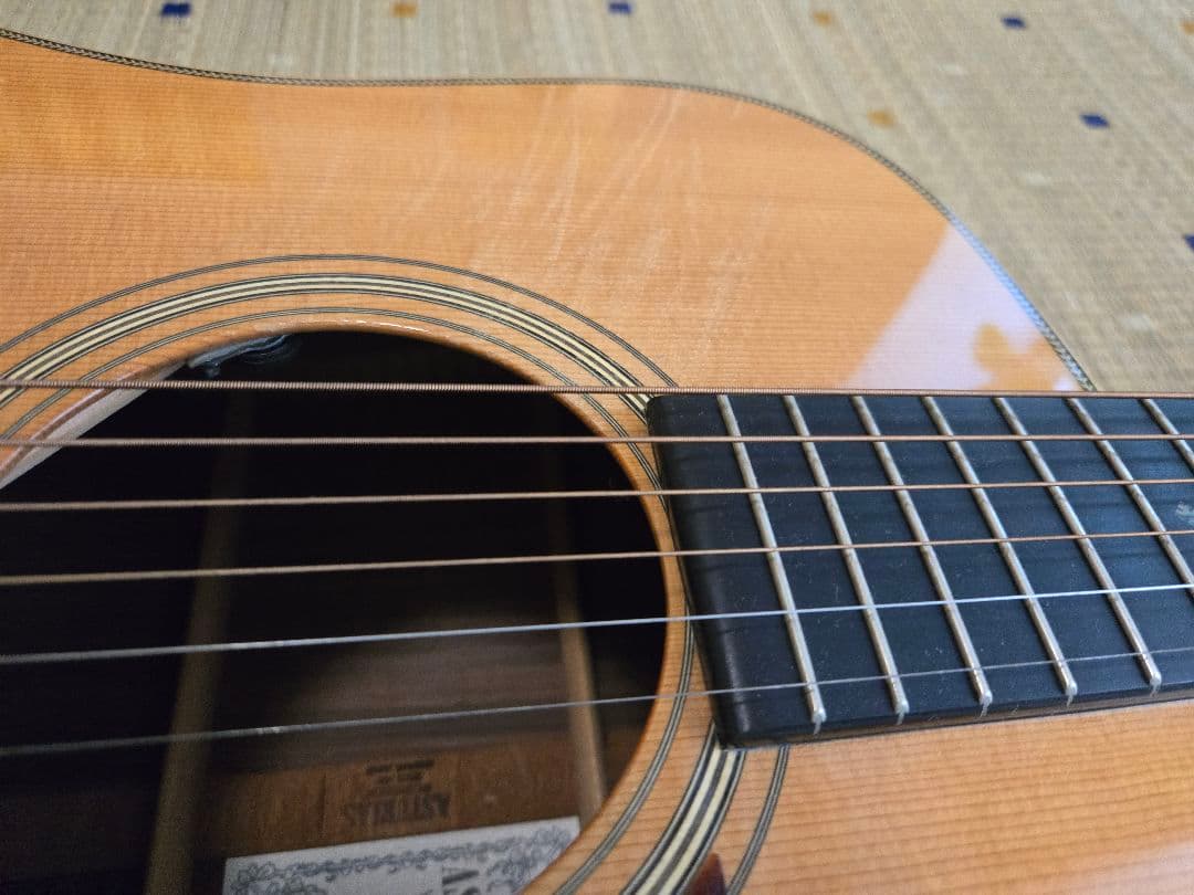 ASTURIAS アストリアス　TRAD D Reverence エレアコ仕様