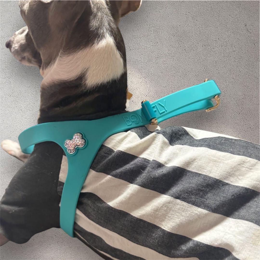 NY店舗購入　BONEFLY ドックハーネス　Mサイズ　入手困難