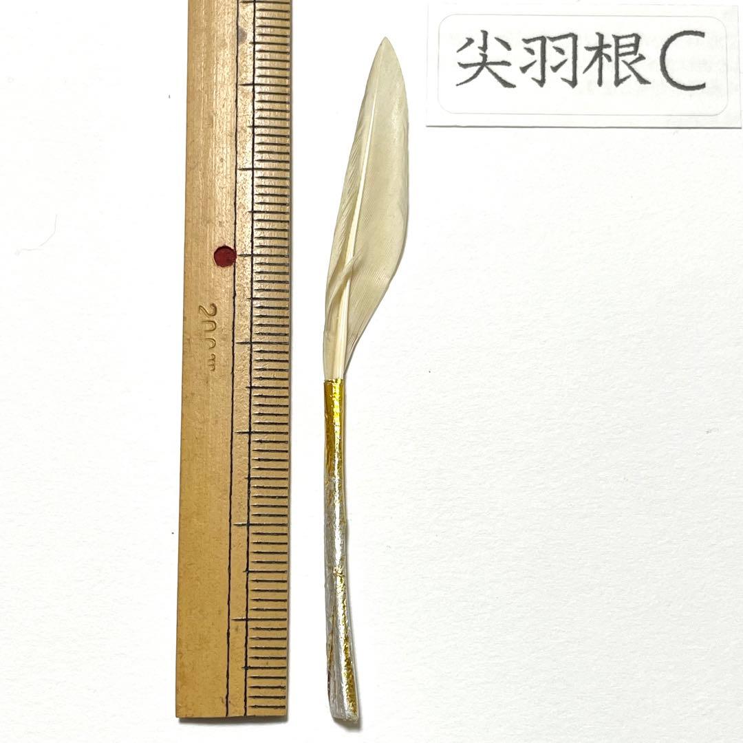 盆石道具 尖羽根 (C)