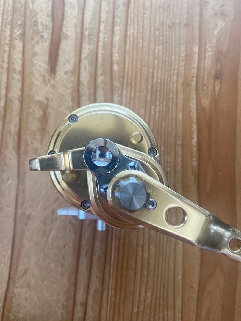 アリゲーターspark