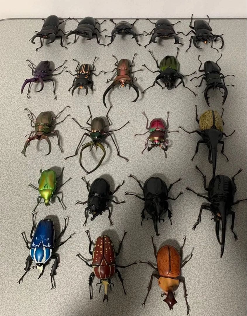 昆虫　カブトムシ　クワガタ　フィギュア　ガチャガチャ