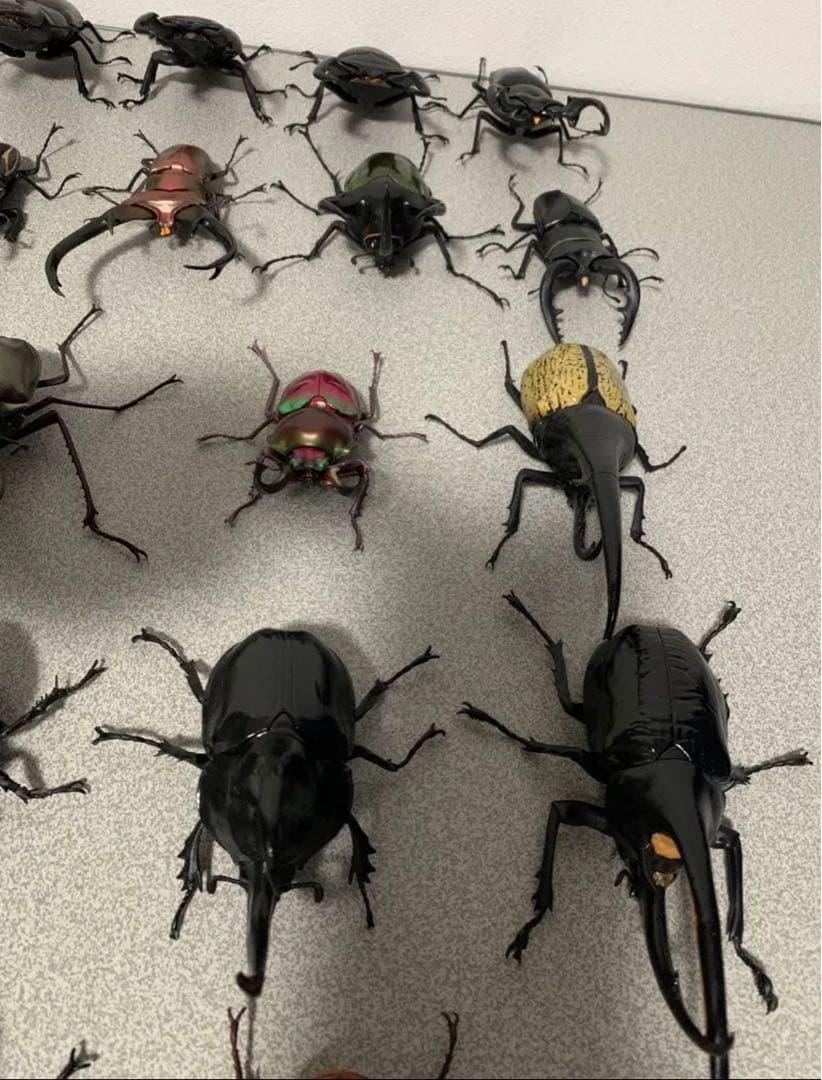 昆虫　カブトムシ　クワガタ　フィギュア　ガチャガチャ