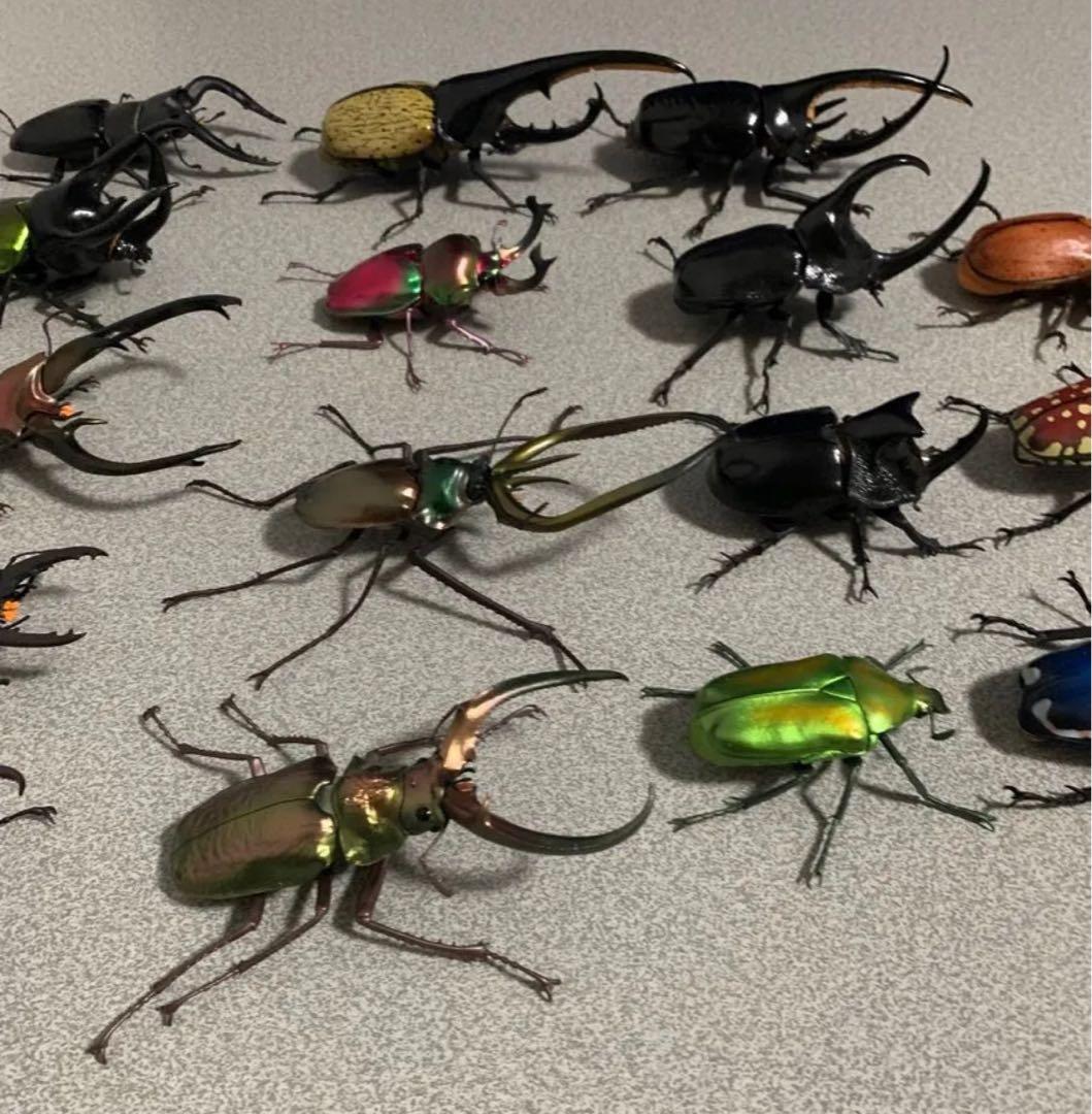 昆虫　カブトムシ　クワガタ　フィギュア　ガチャガチャ