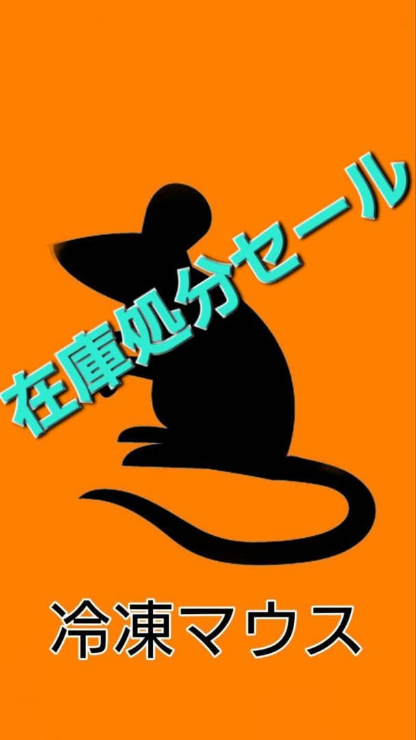 在庫処分！自家繁殖冷凍マウス　Mサイズ　22g～29g　90匹セットおまけ付