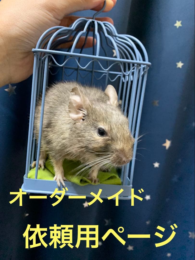 オーダーメイド依頼用ページ