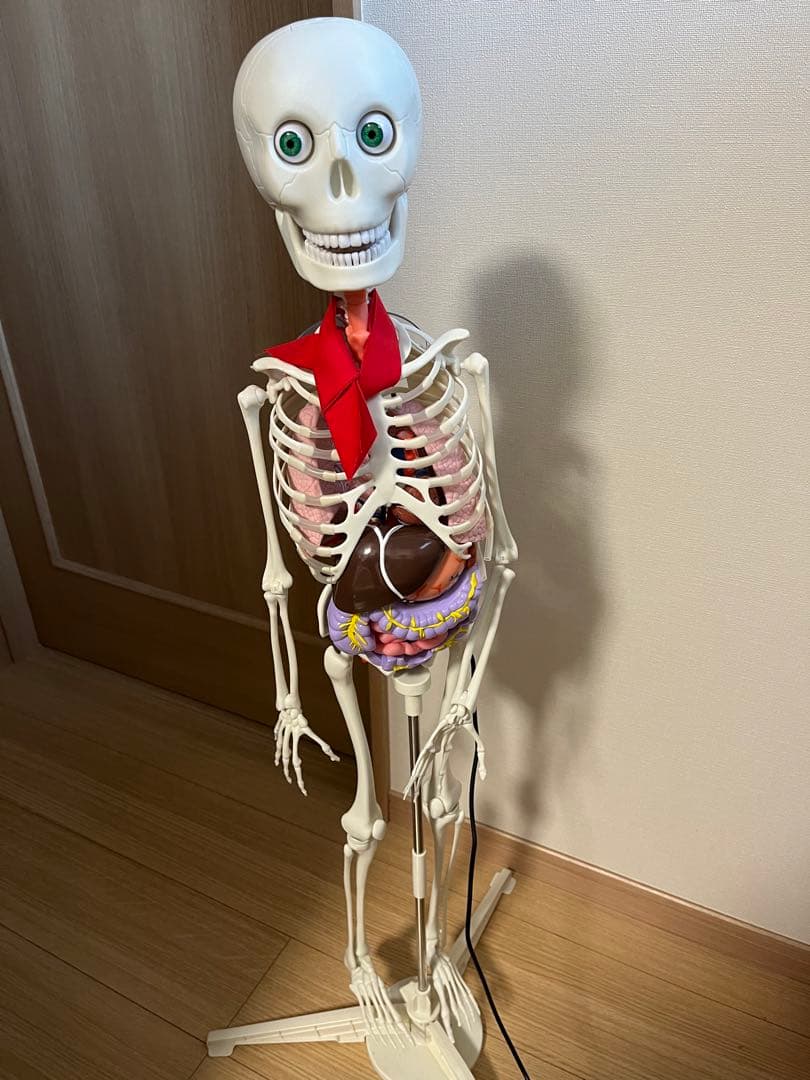 おしゃべりガイコツ　ホネッキー