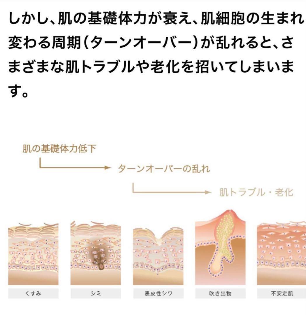 プログラム28＆マキシドールキット＆ルタン2品ミニ2セット【新品】シャンソン