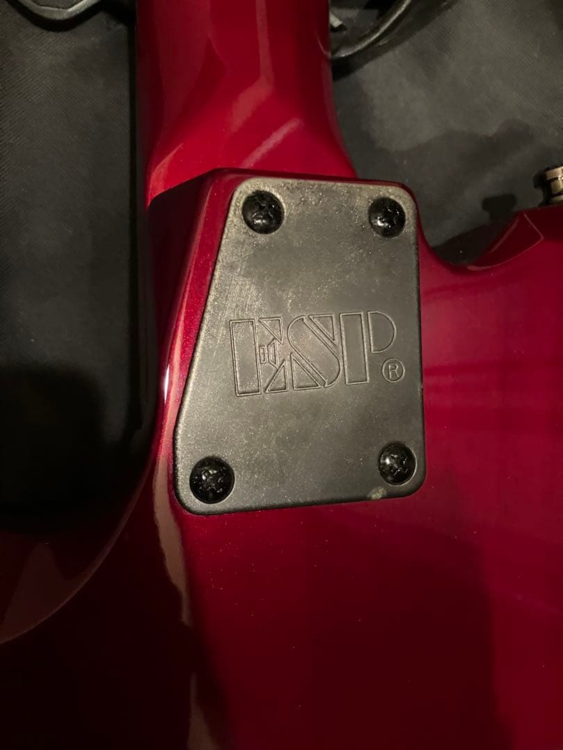 ギター ESP Die D-DR dir en grey