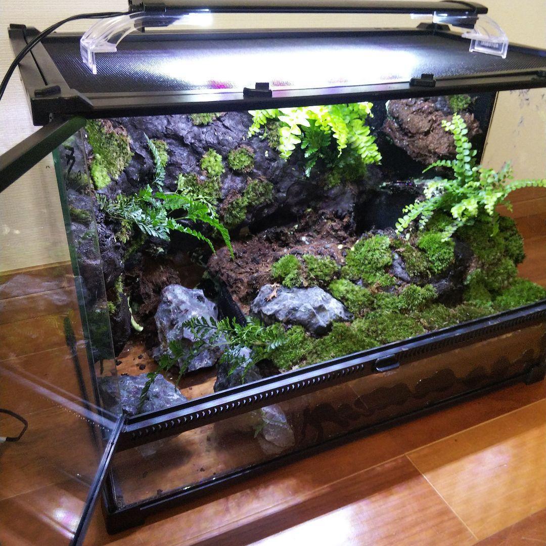 【受注生産】滝のあるアクアテラリウム　イモリウム　苔テラリウム　アクアテラリウム