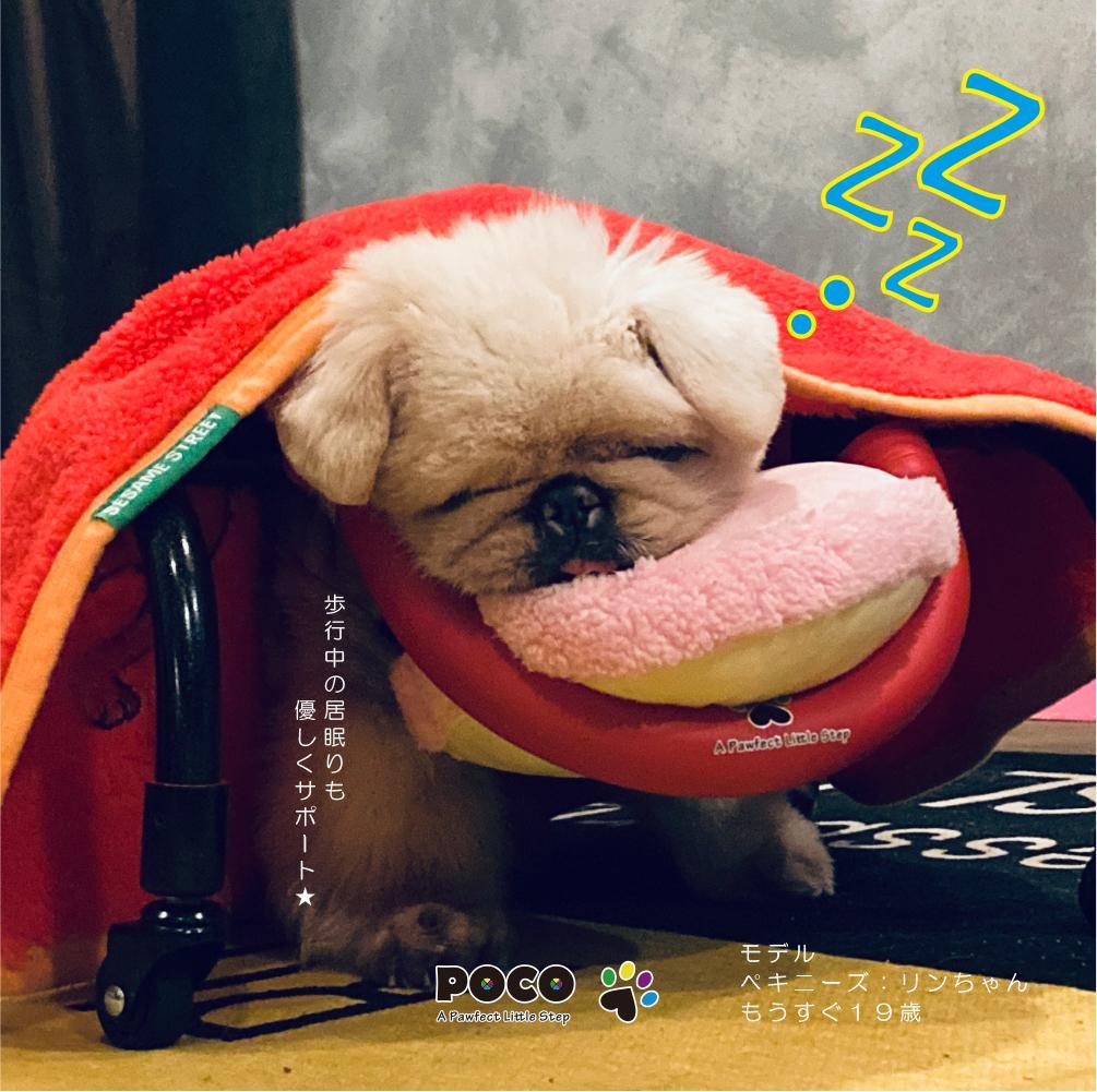 愛犬４輪歩行器【サイズ調整可】×【彩色グリーン】介護・リハビリetc...