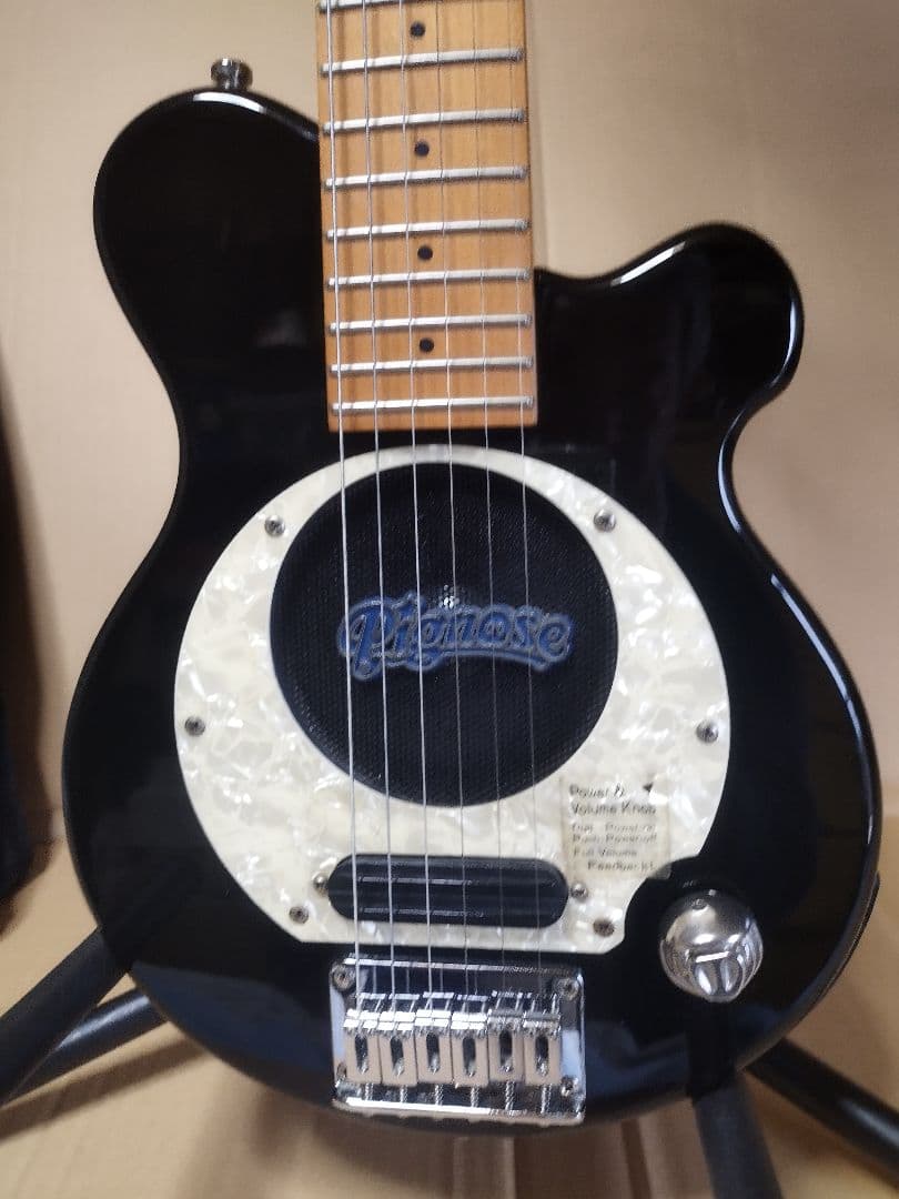 Pignose 小型エレキギター ギターケース付き