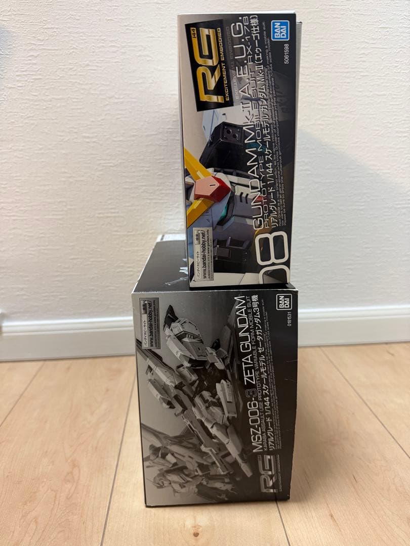 特限〜P還元中 RGガンプラ2体セット