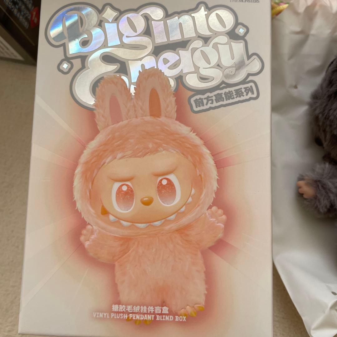 r*a様 POP MART LABUBU ポップマート ラブブ