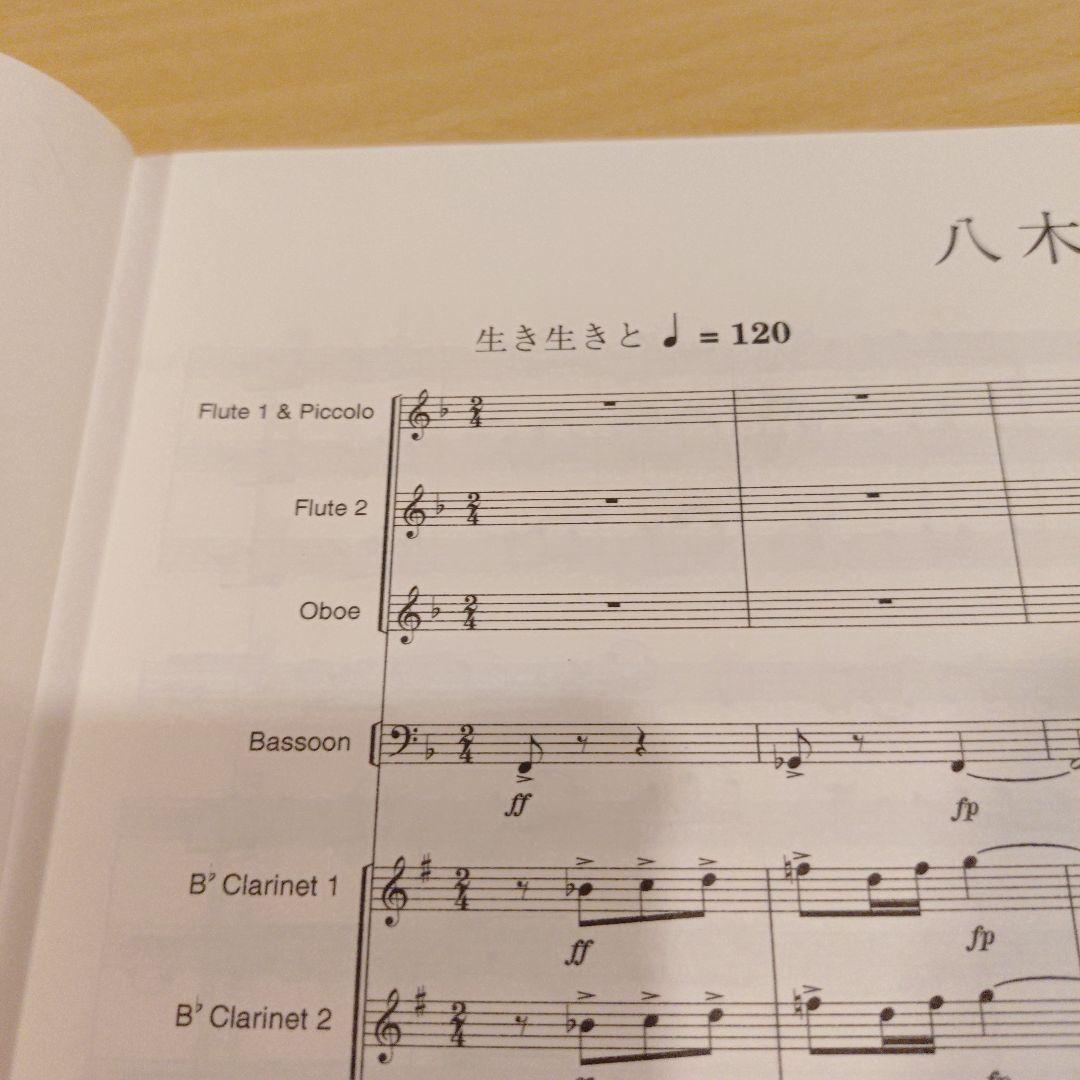 八木節/福島弘和