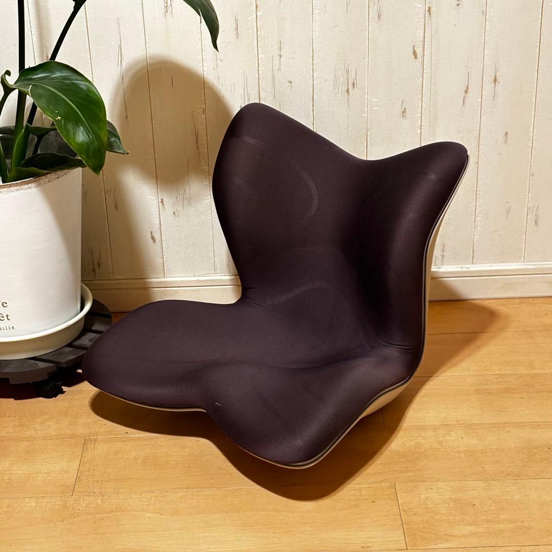 スタイル プレミアム/Style PREMIUM Se骨盤サポートチェア