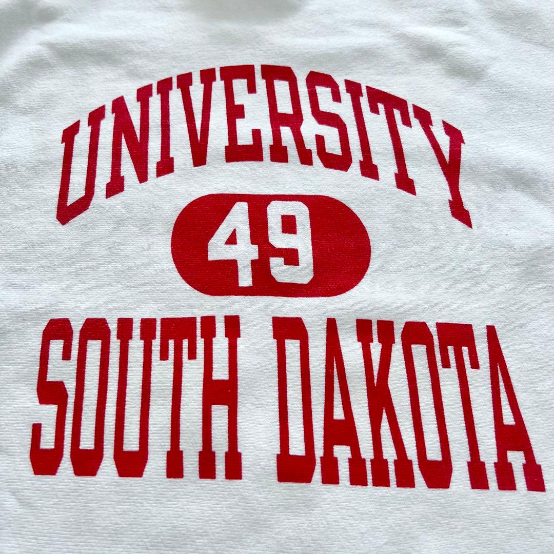 90s チャンピオンリバースウィーブ　染み込みプリント　サイズXL