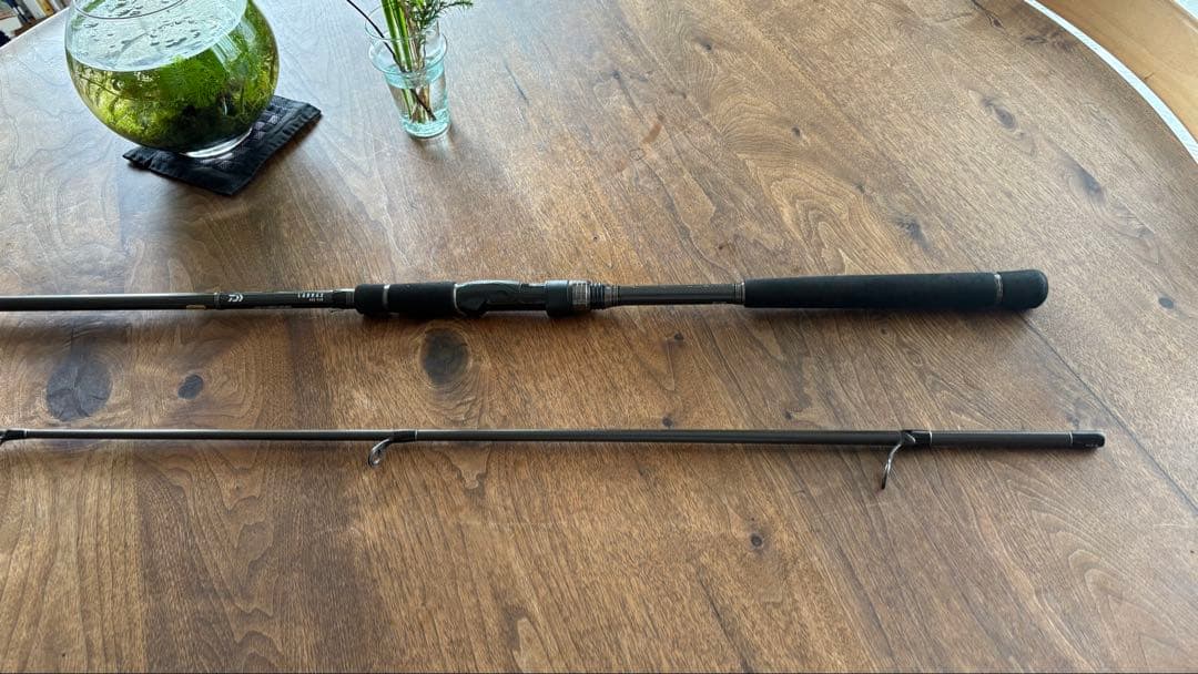 Daiwa LABRAX AGS 96M シーバスロッド