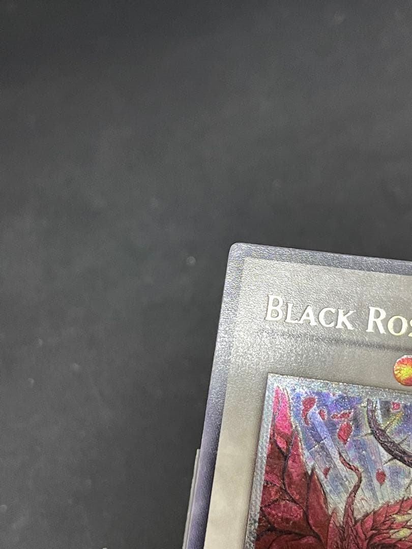 専用　遊戯王　ブラックローズドラゴン　レリーフ　英語版　EN