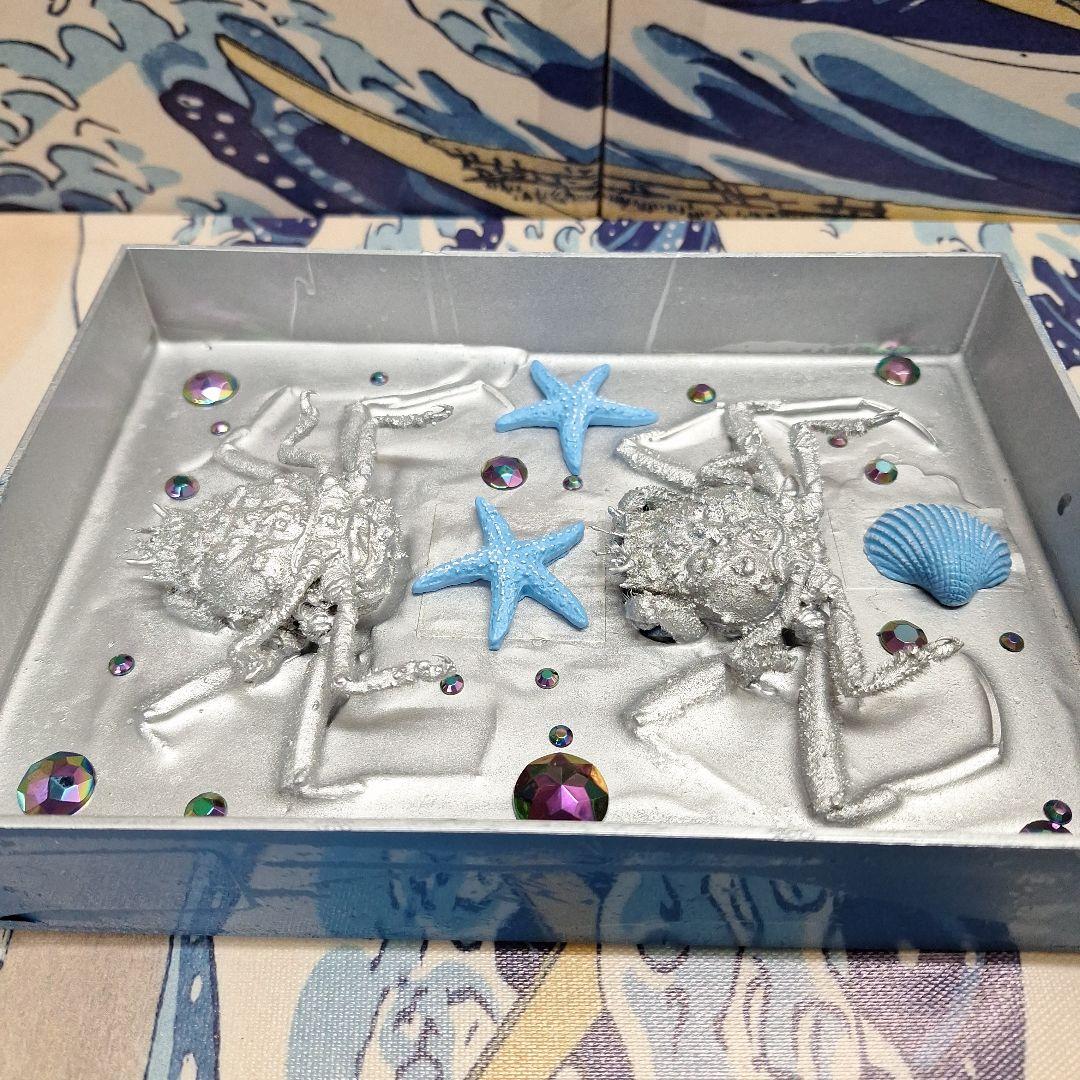 平家怨霊人面蟹稀少レア平家蟹鬼面蟹ペア二点凹凸リアル立体標本飾り置物コレクション