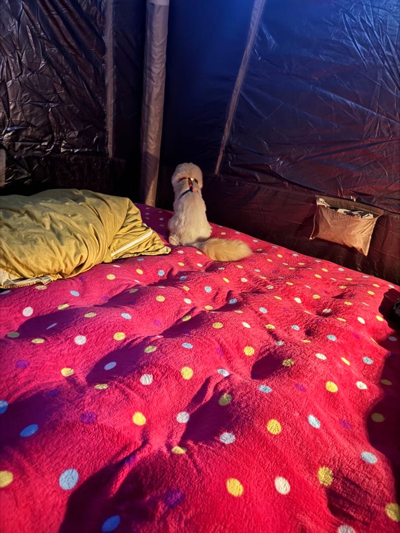 充気式テント 鉄黒ゴム製キャンプテント 15.8m²