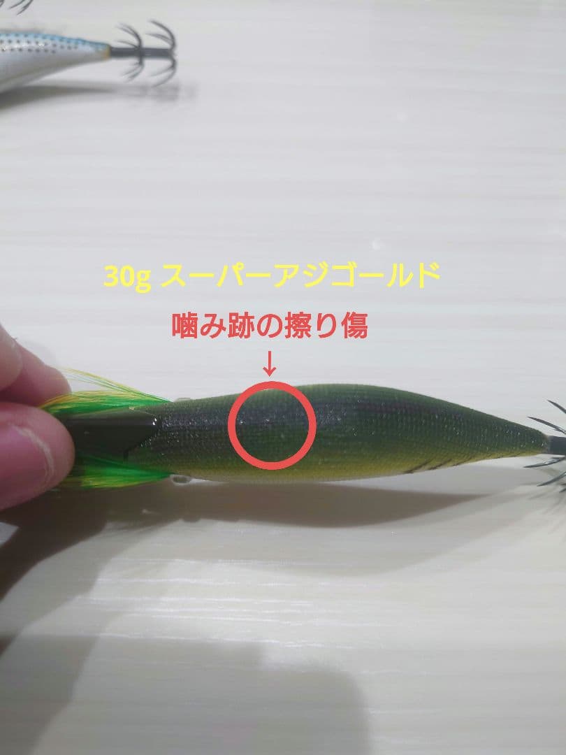 エギリー・ダートマックスTR 40g&30g 5本セット