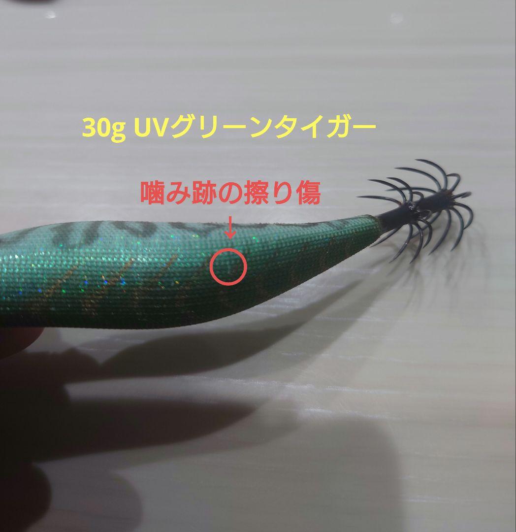 エギリー・ダートマックスTR 40g&30g 5本セット